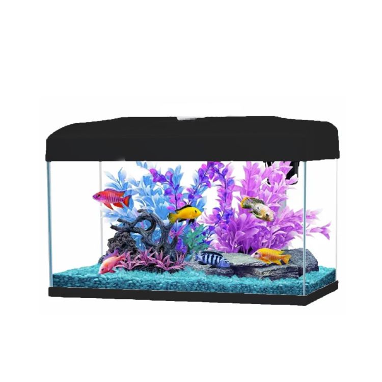 Natures Garden Aquarium LLC 3