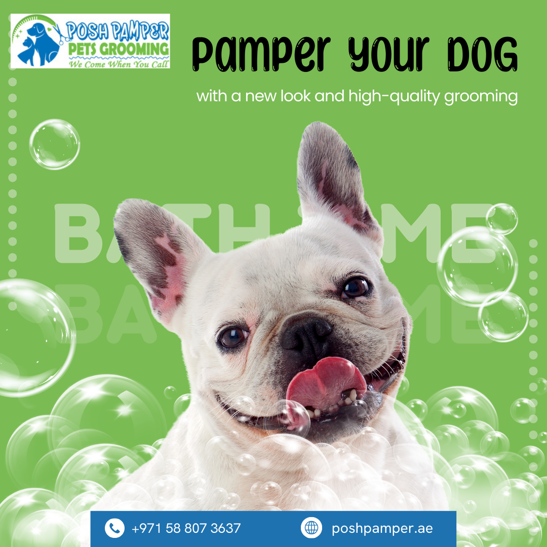 Posh Pamper Mobile Pets Grooming