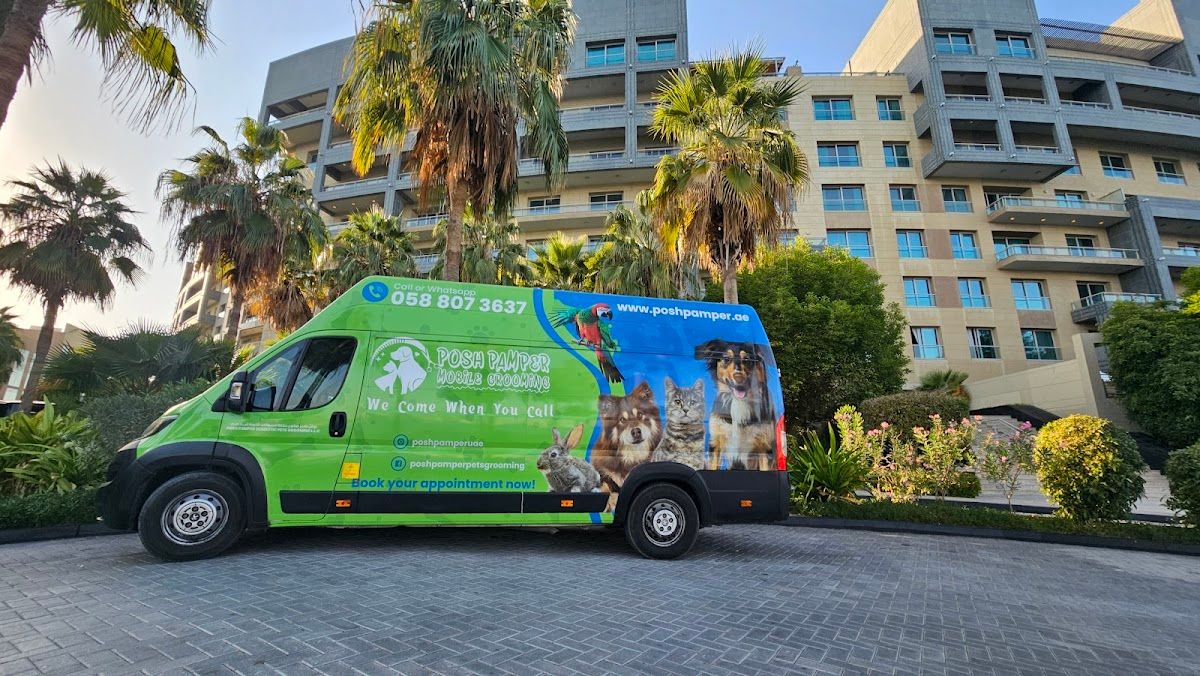 Posh Pamper Mobile Pets Grooming 2