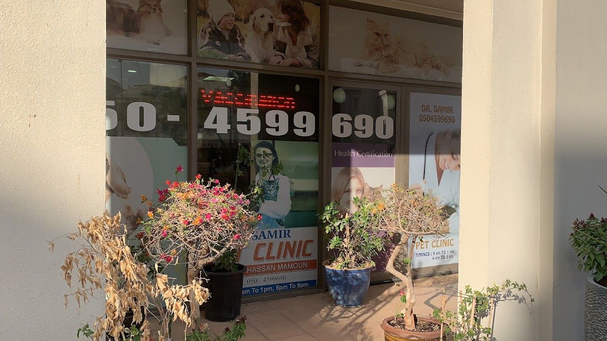Dr. Samir vet clinic 2