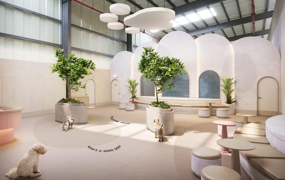 My Dogtel Dubai - Dog Boarding, Dog Daycare & Grooming 3