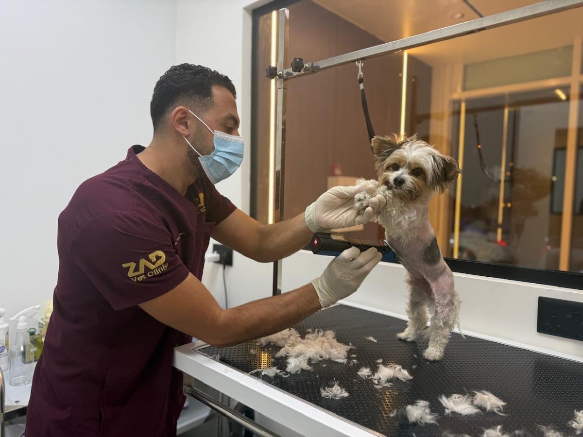 ZAD VETERINARY CLINIC DUBAI