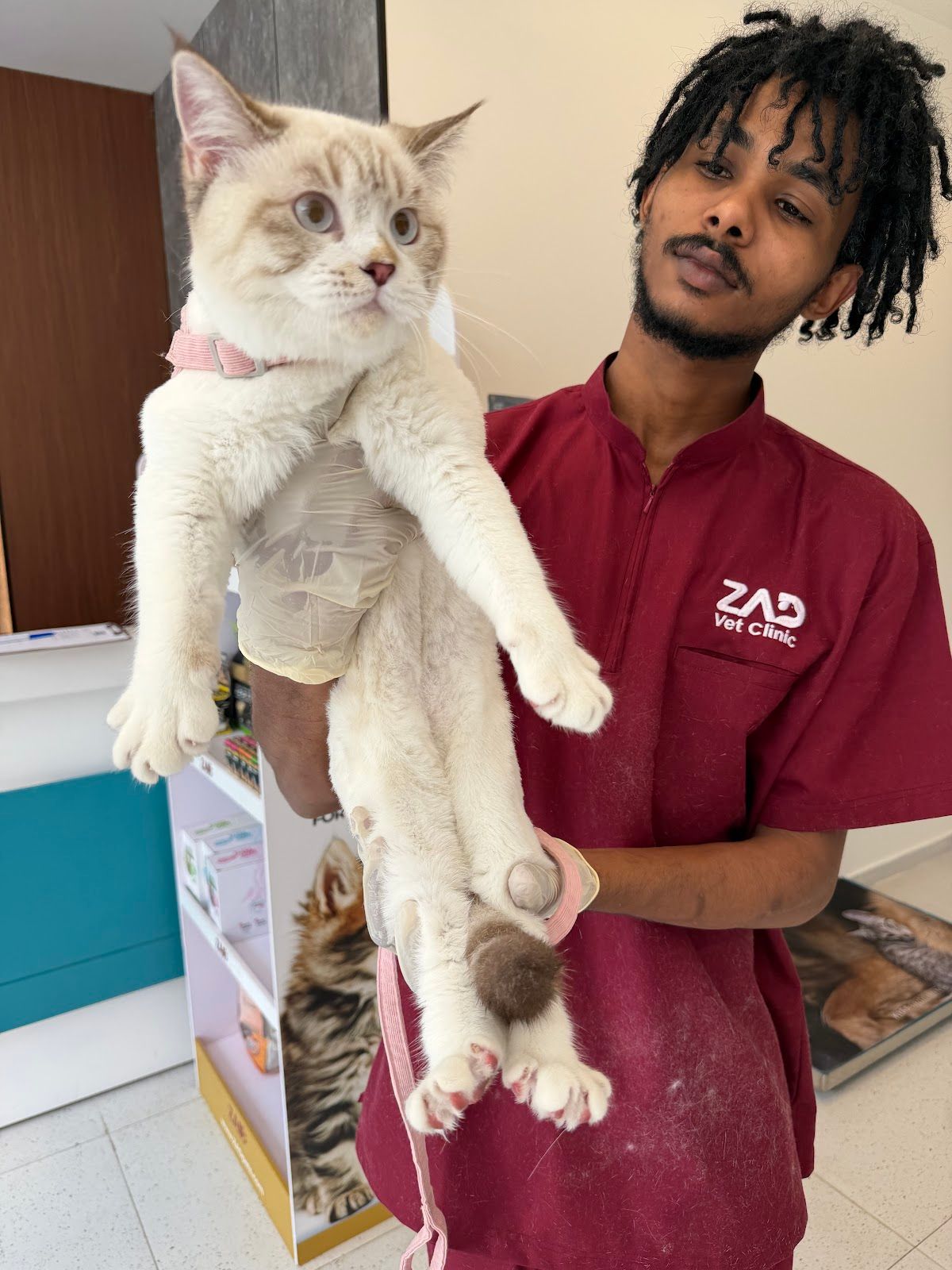 ZAD VETERINARY CLINIC DUBAI 3