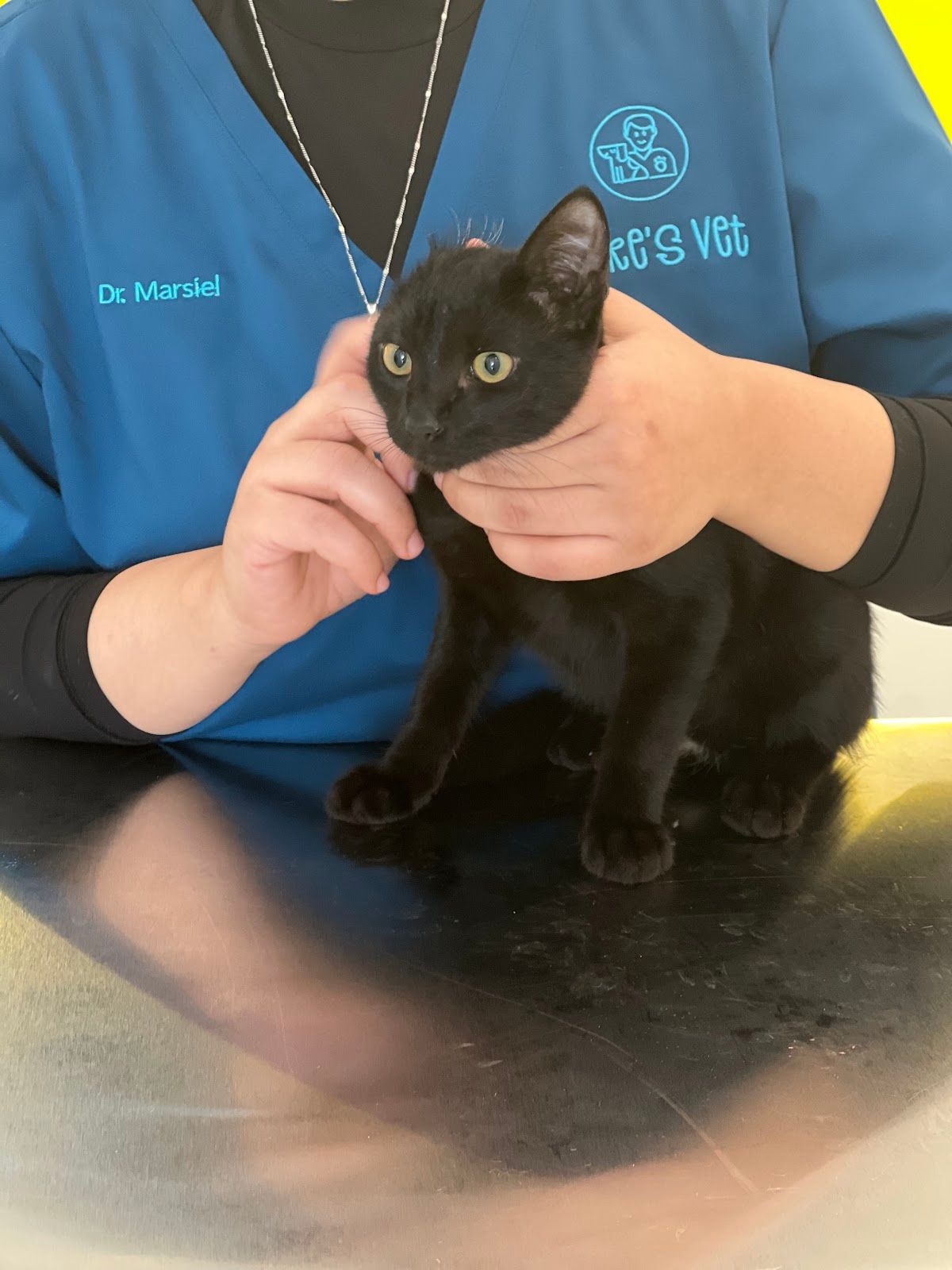 Mike’s Veterinary Clinic 5