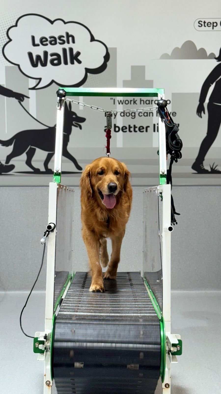 Olivier Zoppi Dog Psychology Center - Meydan