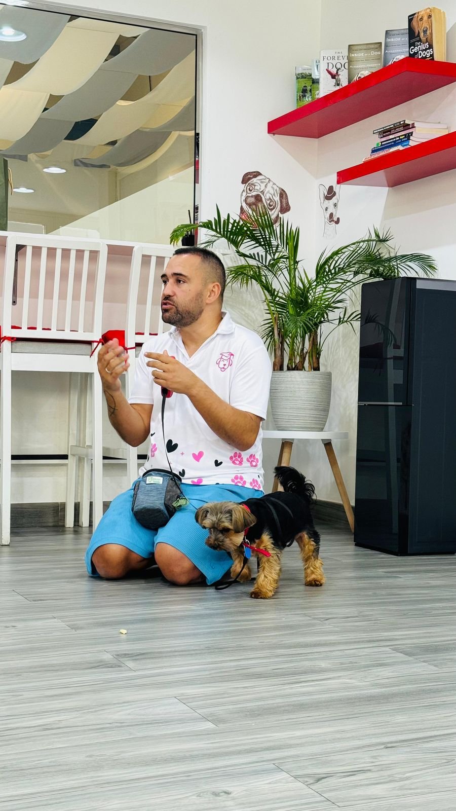 Olivier Zoppi Dog Psychology Center - Meydan photo 3