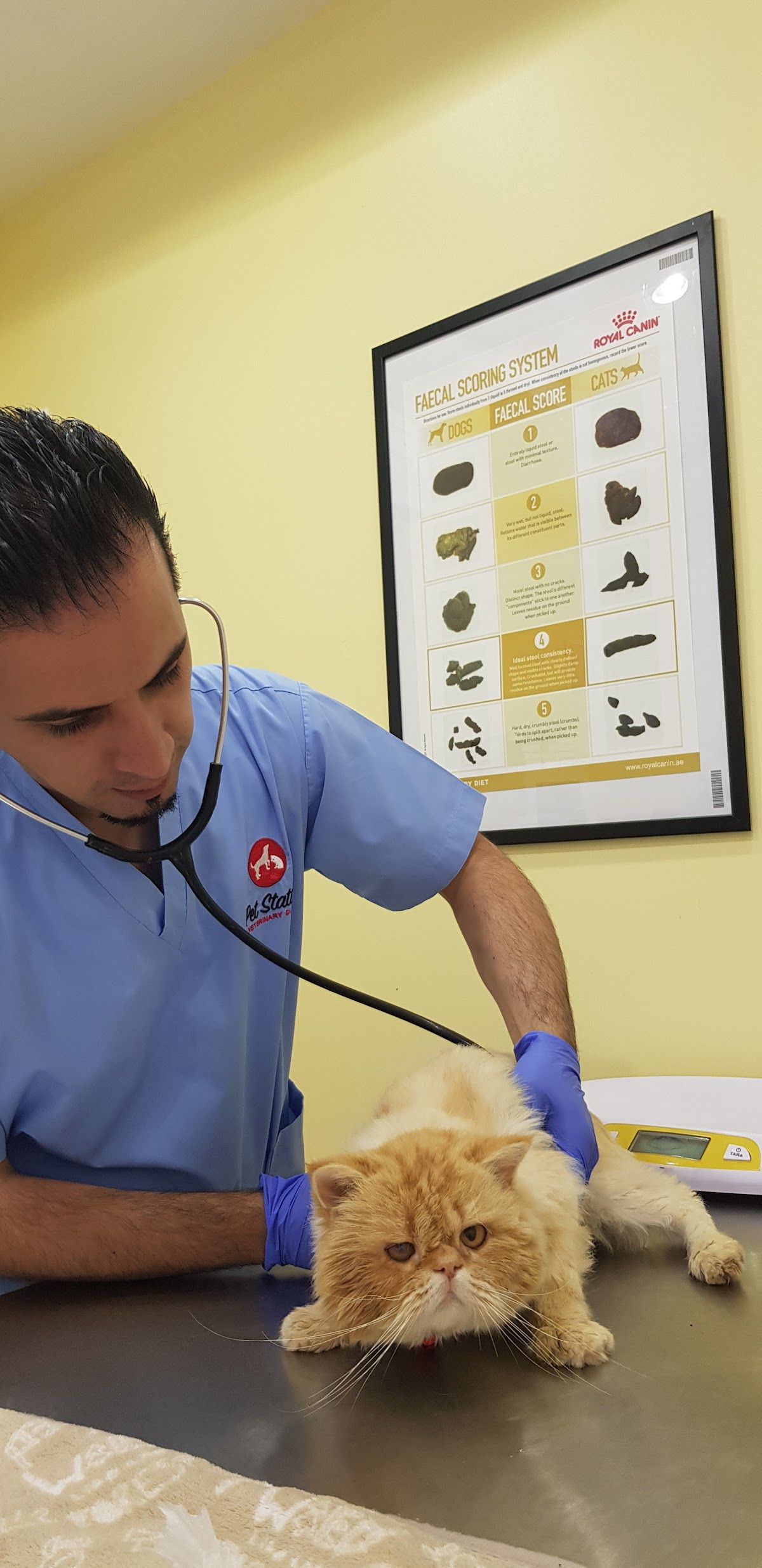 Pet Station Veterinary Clinic 2