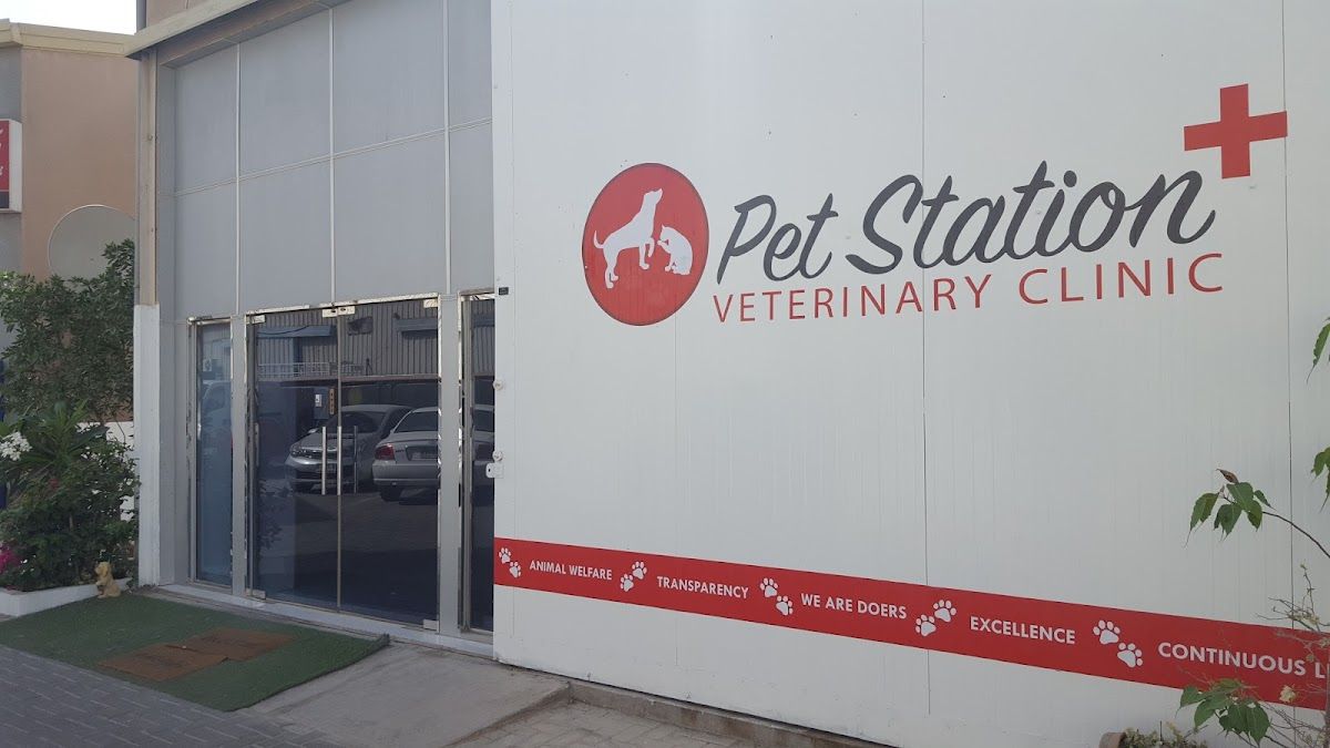 Pet Station Veterinary Clinic 5