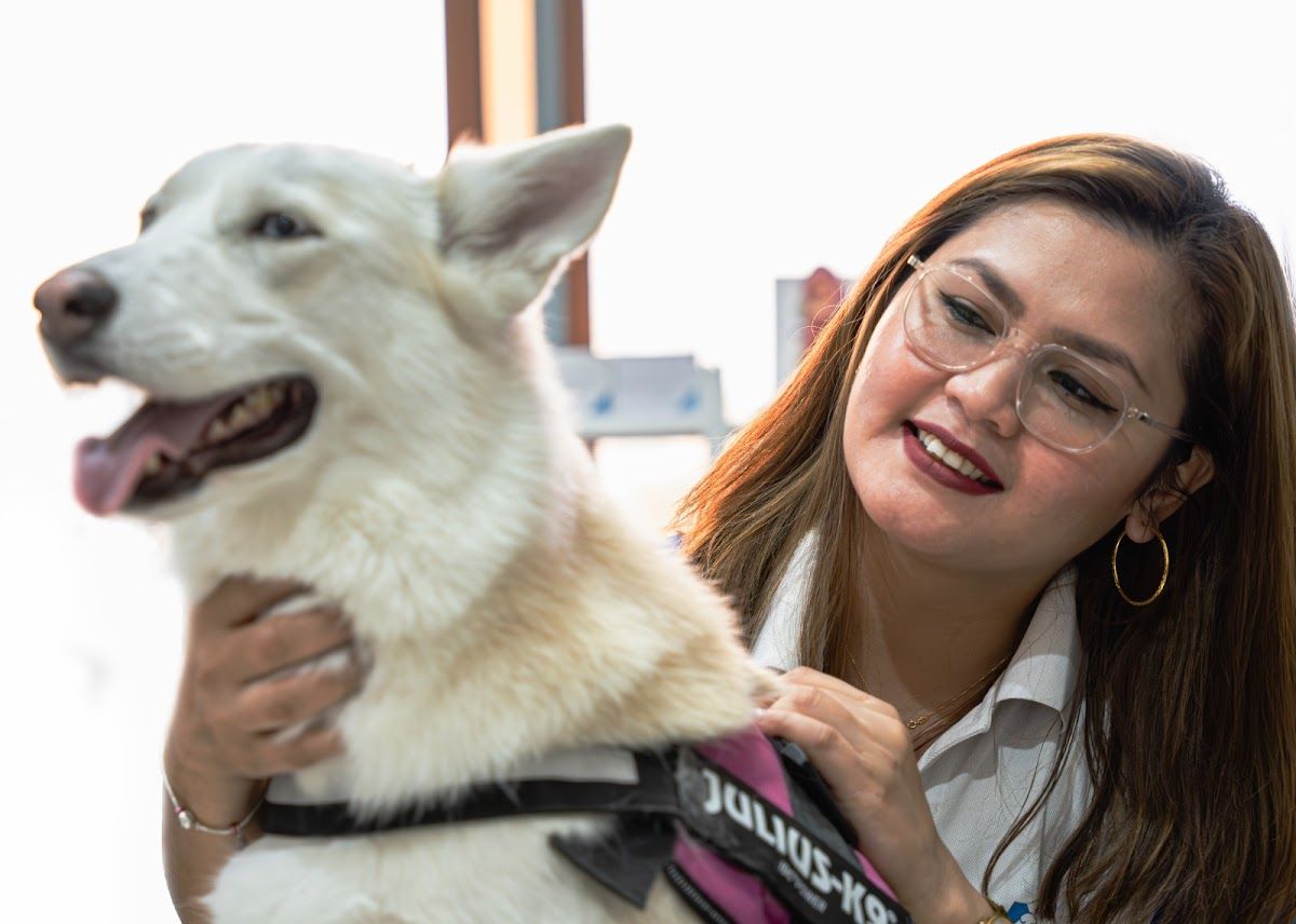 Amity Veterinary Clinic 2