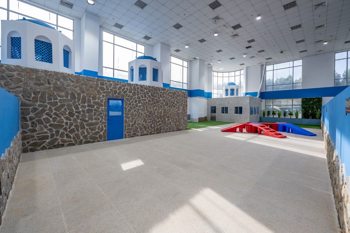Petsville DIP | Luxury Pet Staycations | Active Daycare | Grooming 2