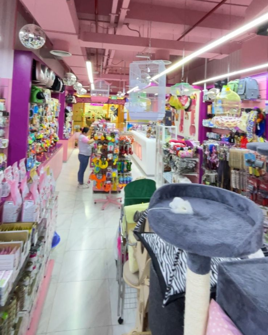 World of Pets 4
