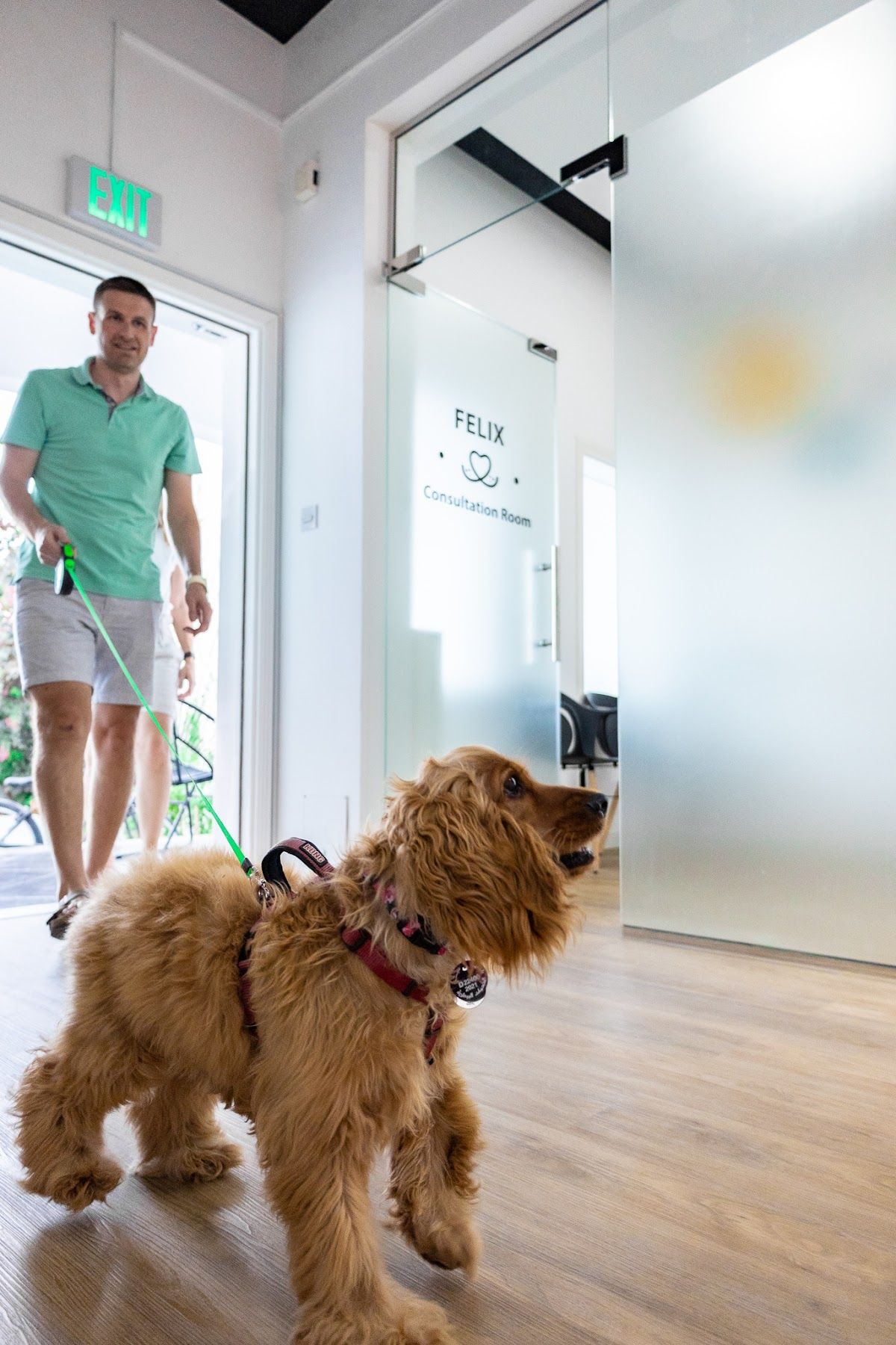 VETS & PETS Dubai - Italian Veterinary Clinic 2