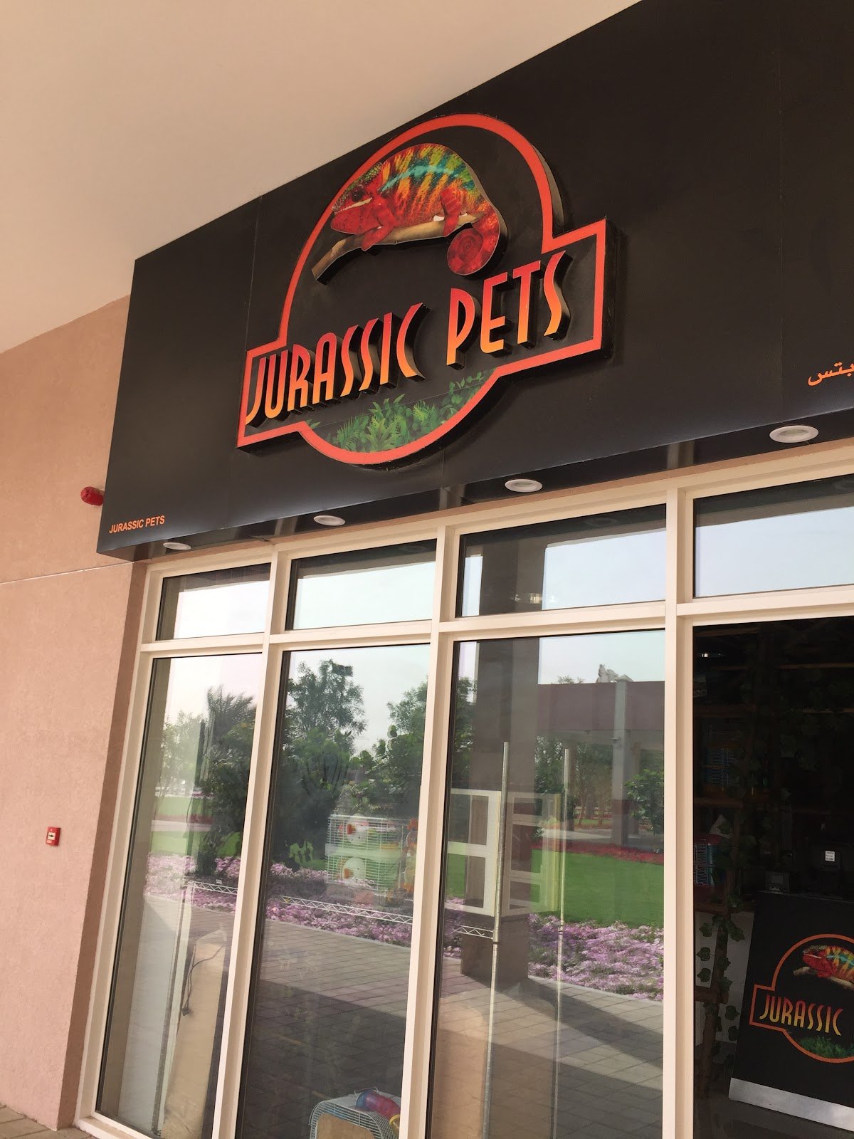 Dubai Reptiles