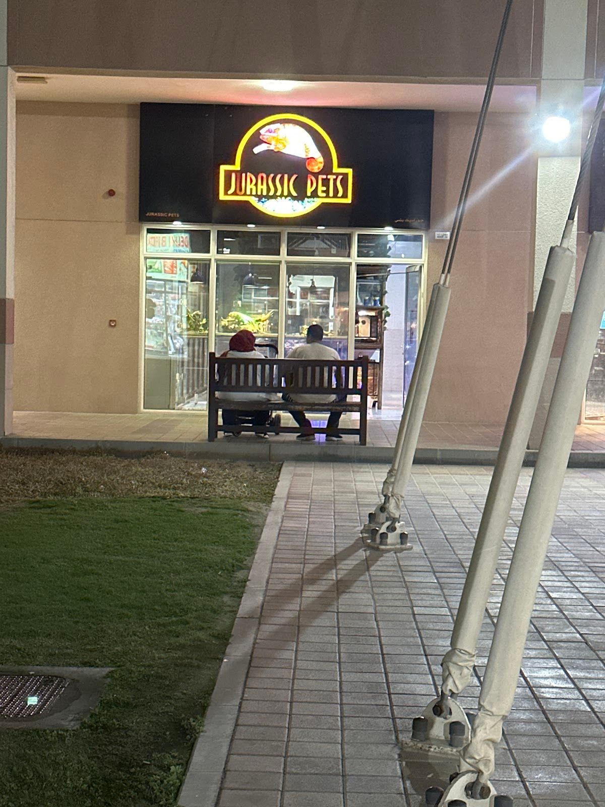 Dubai Reptiles 3