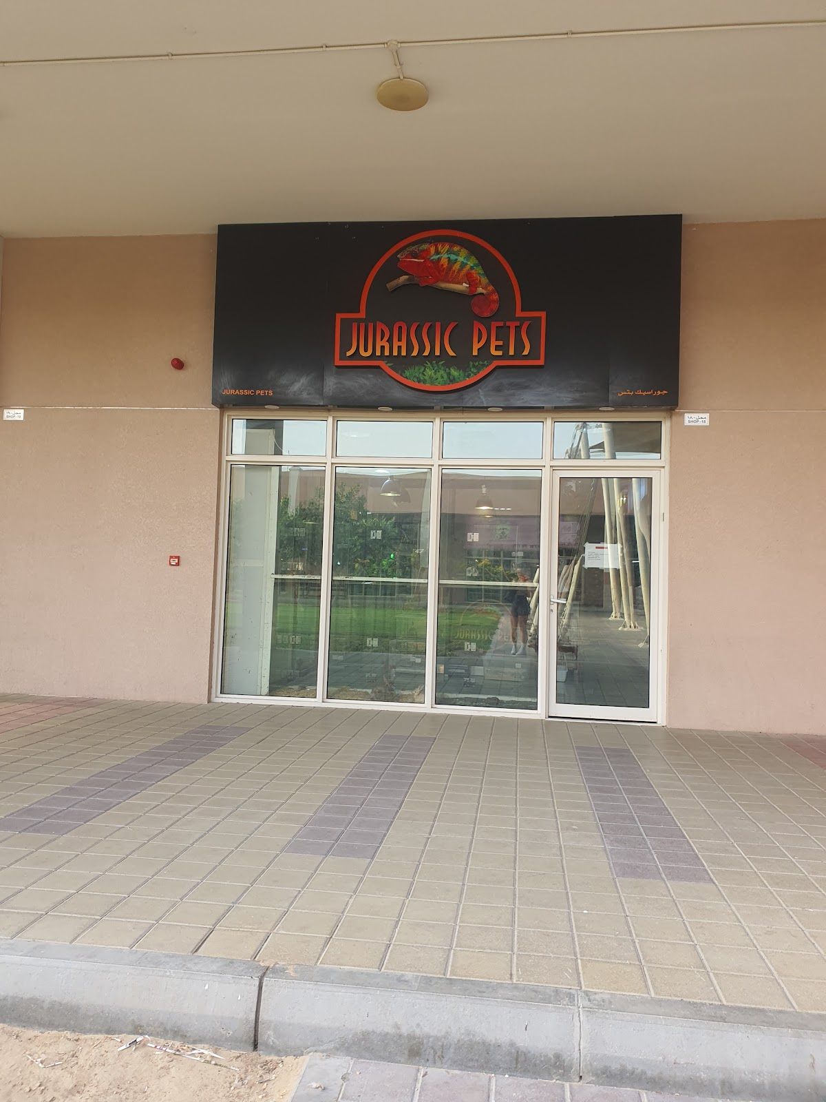 Dubai Reptiles 5