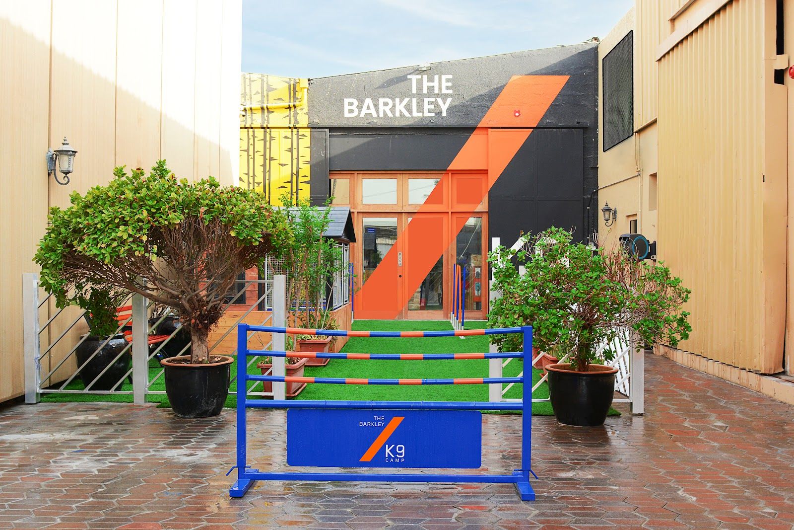The Barkley Pet Camp 4