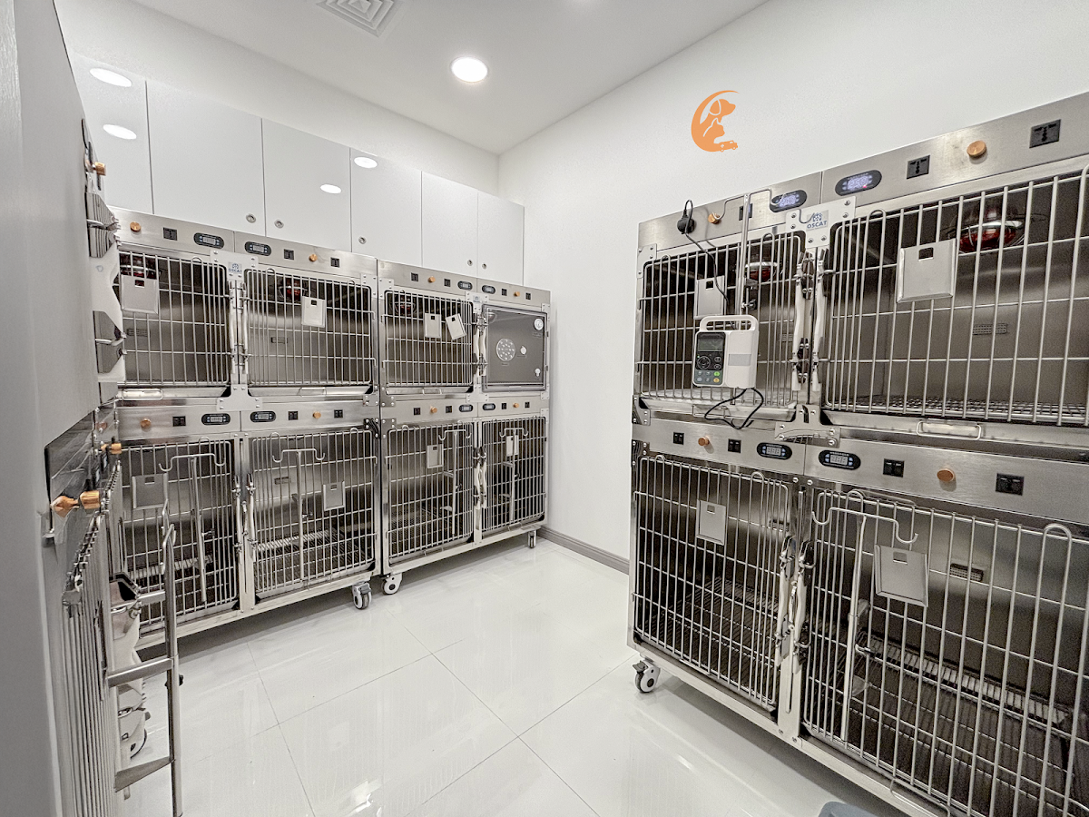 Pet Xpress Vet Clinic 2