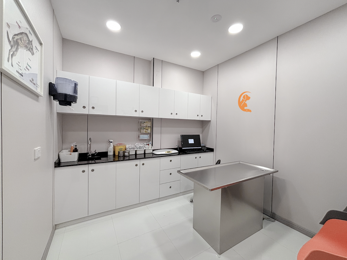 Pet Xpress Vet Clinic 5