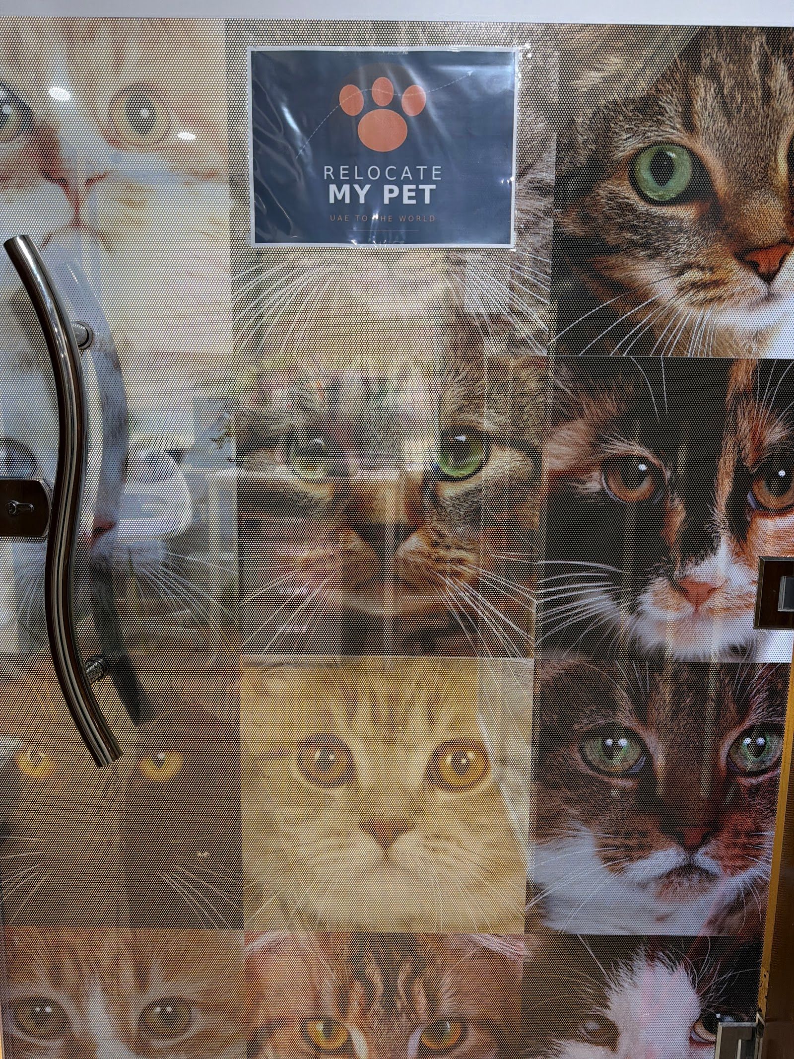 Relocate My Pet 4