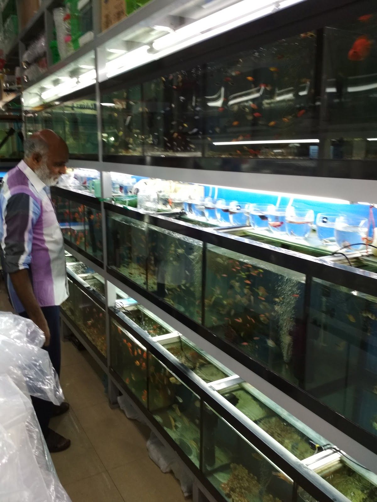 World of Fishes 3