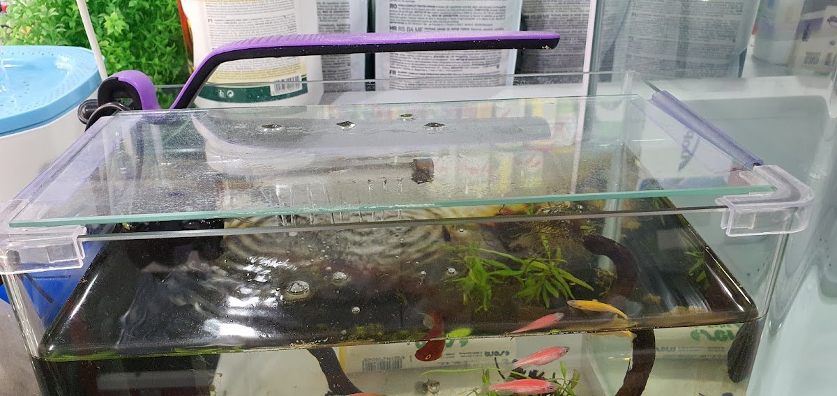 World of Fishes photo 5
