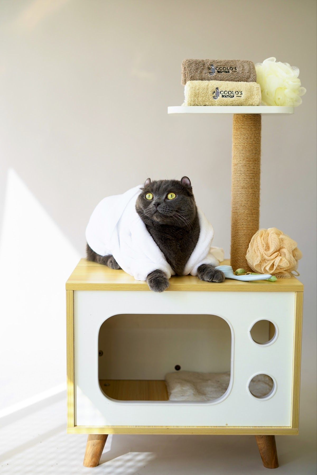 Piccolos Mobile Grooming Pet Boutique 5