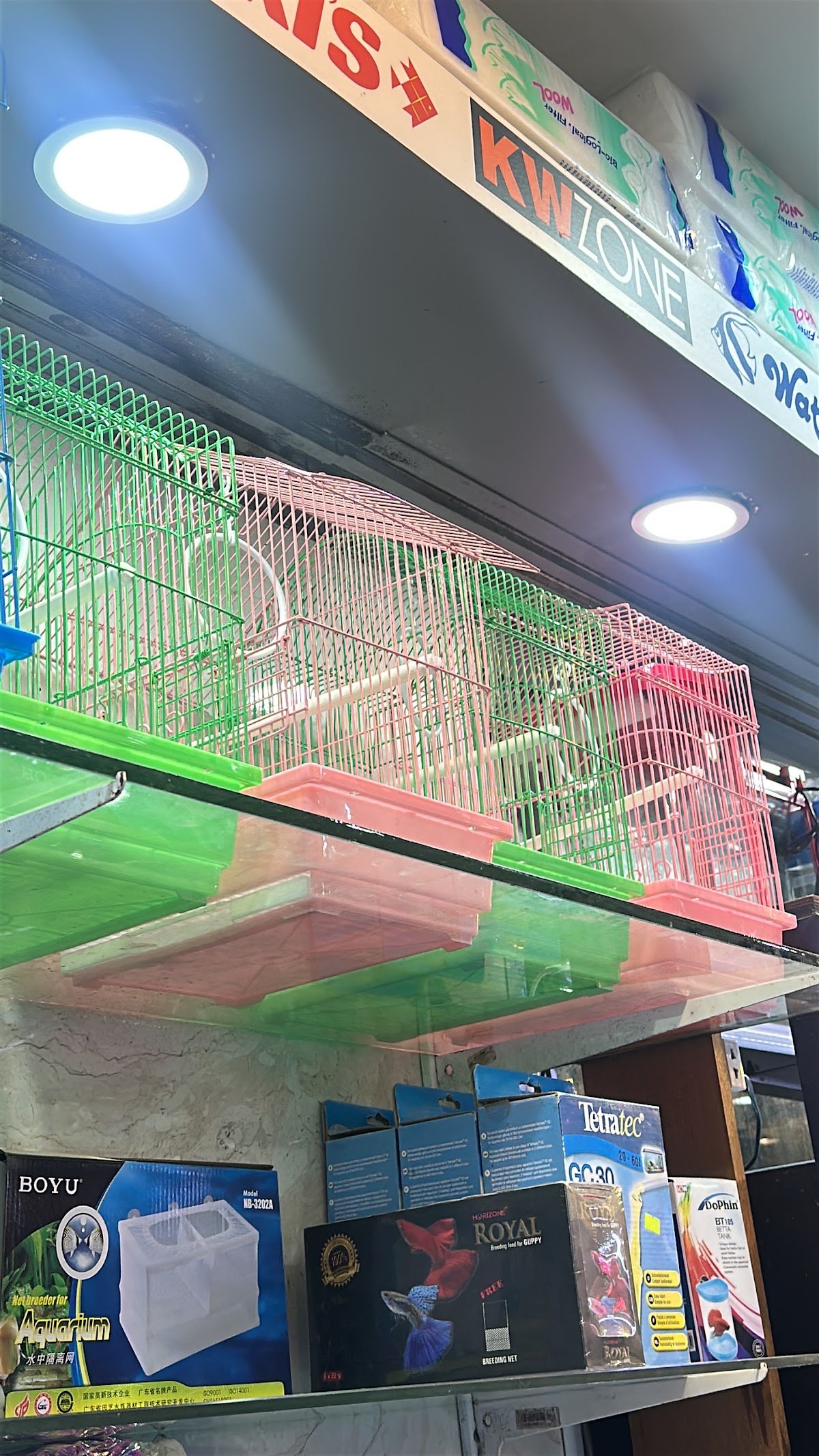 Al Hadiqah Al Maeyah Ornamental Fish Trading