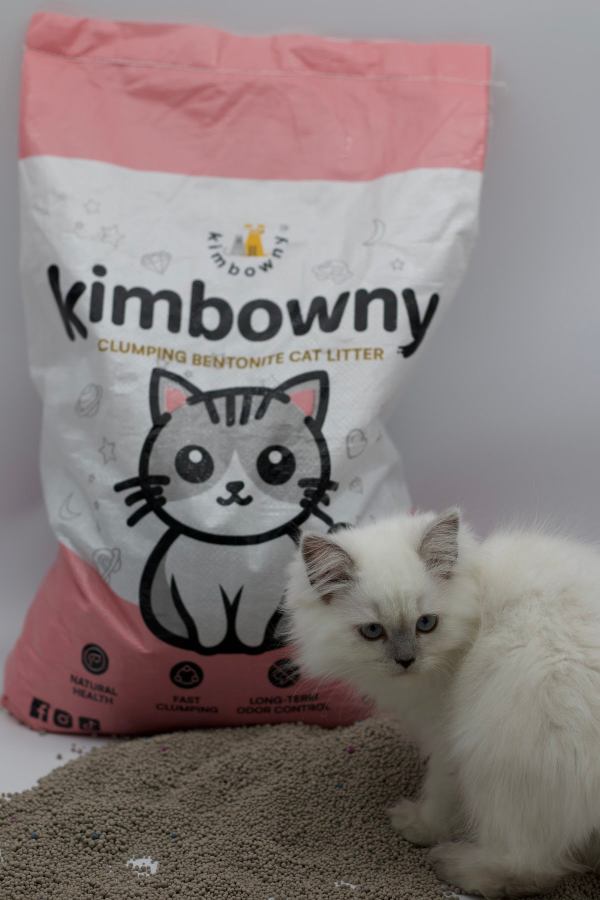 Kimbowny Pet Store