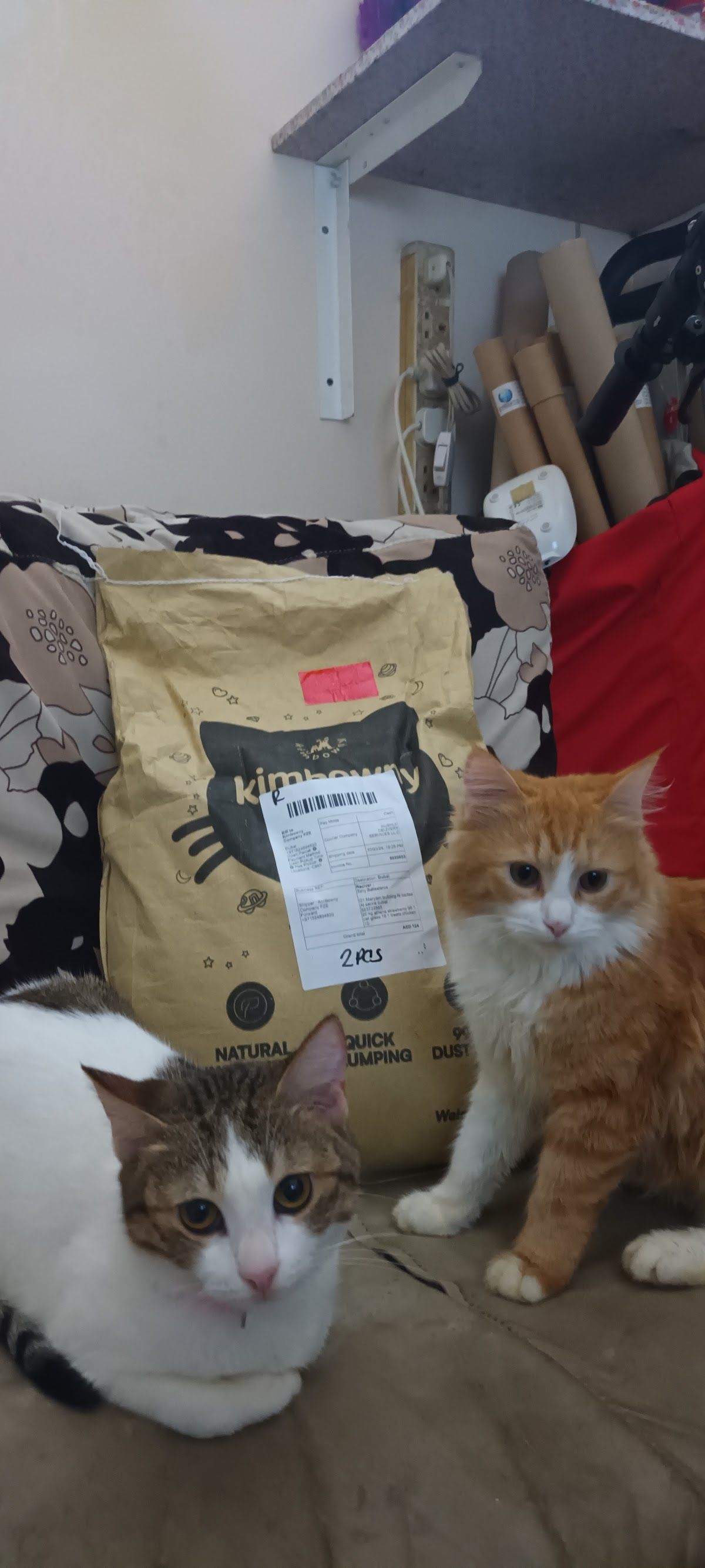 Kimbowny Pet Store 2