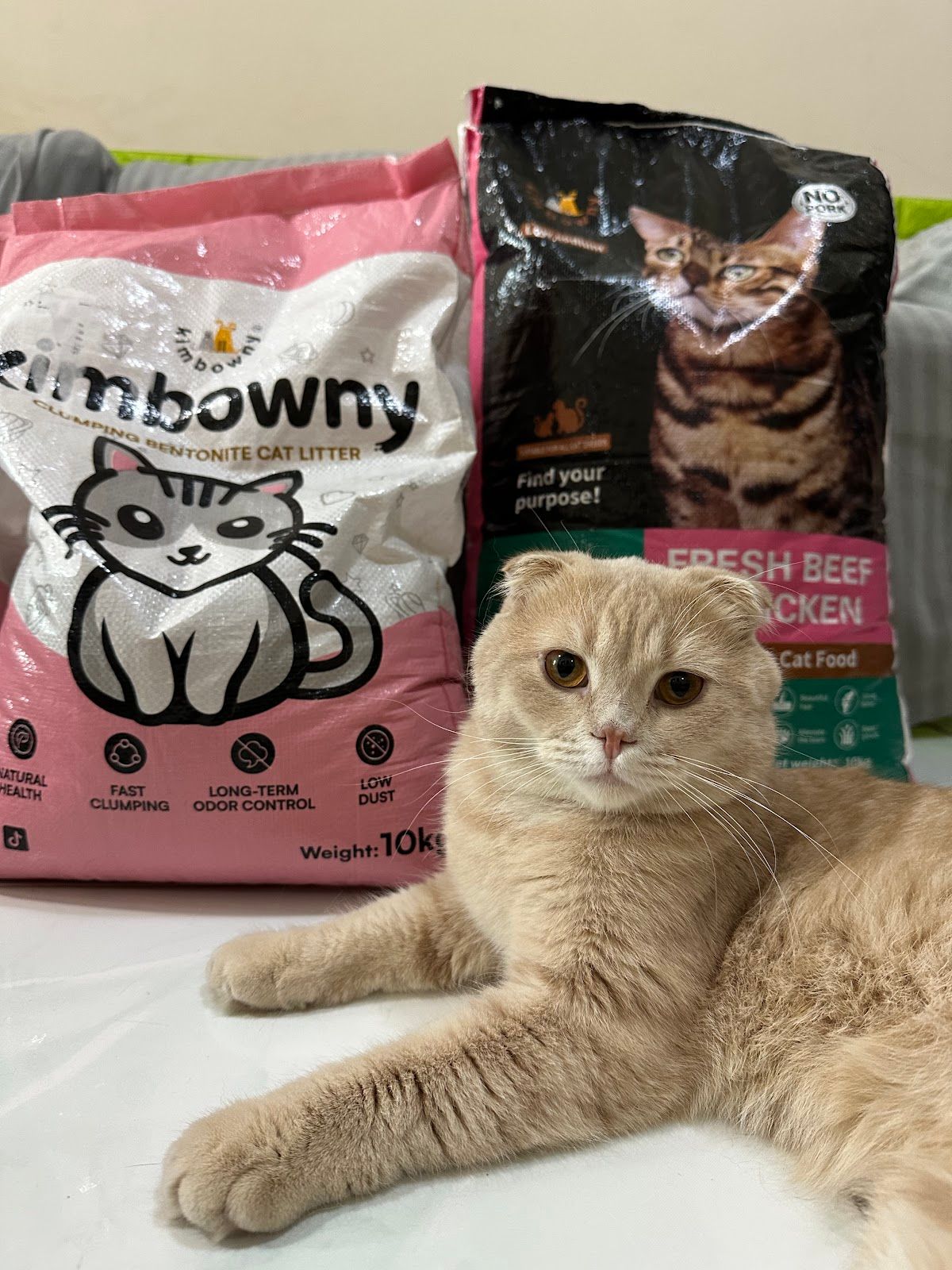 Kimbowny Pet Store 3