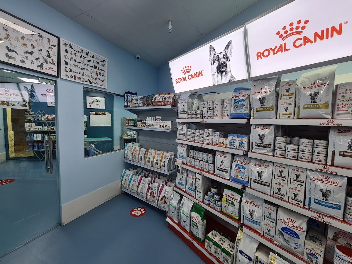 Synergy Veterinary Clinic 3