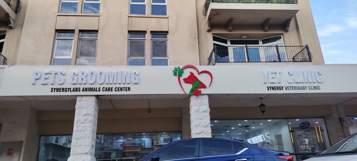 Synergy Veterinary Clinic 5