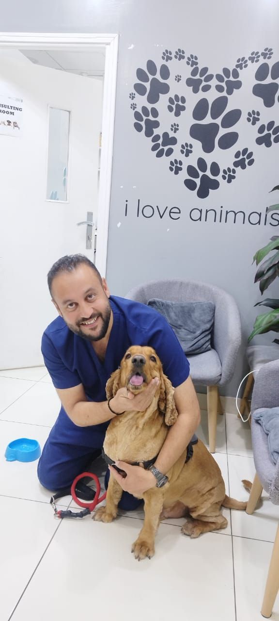 Pet Land Veterinary Clinic - Mirdif أفضل عيادة حيوانات أليفة بالقرب مني في مردف 2