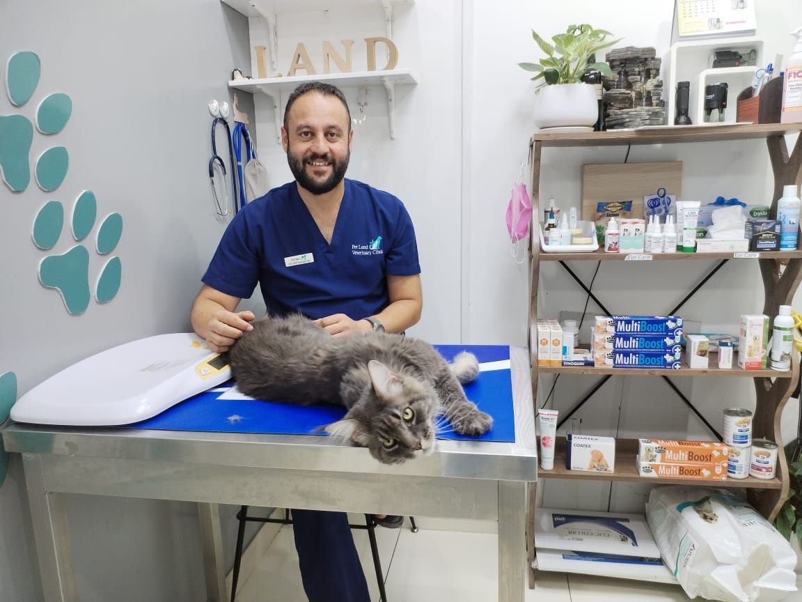 Pet Land Veterinary Clinic - Mirdif أفضل عيادة حيوانات أليفة بالقرب مني في مردف 3