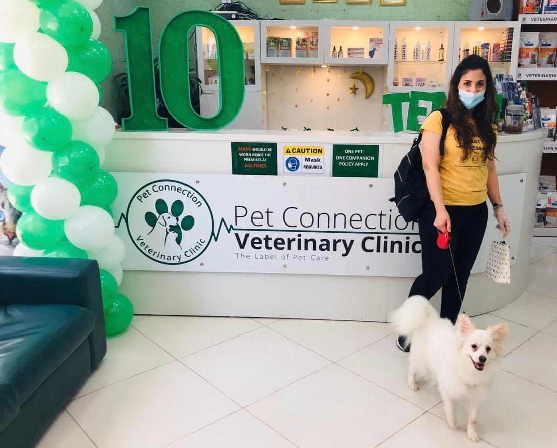 Pet Connection Veterinary Clinic Dubai Al Barsha 1 3