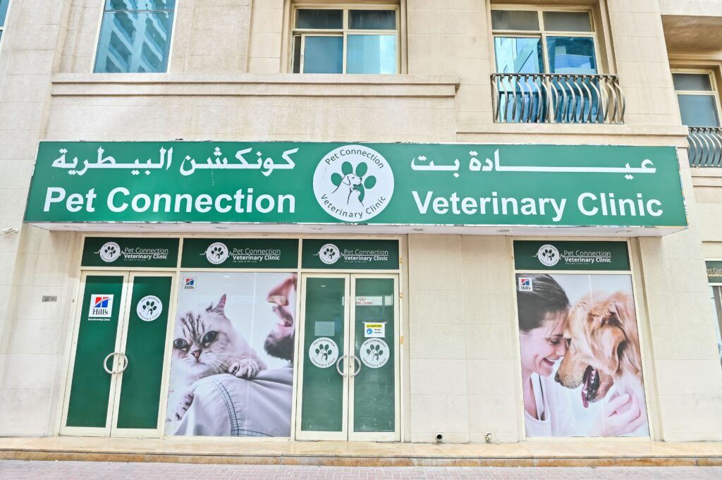 Pet Connection Veterinary Clinic Dubai Al Barsha 1 5