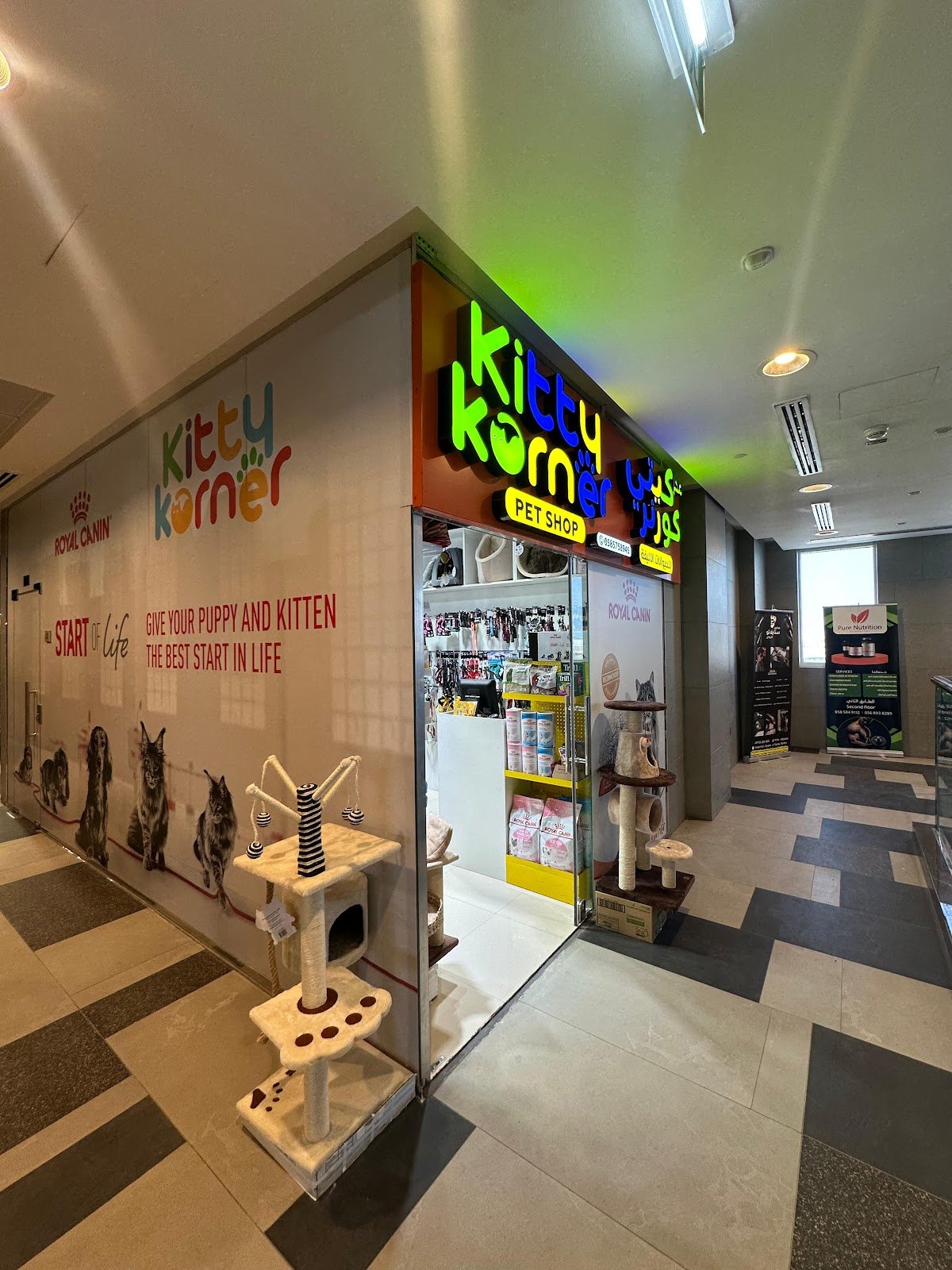 kitty korner petshop