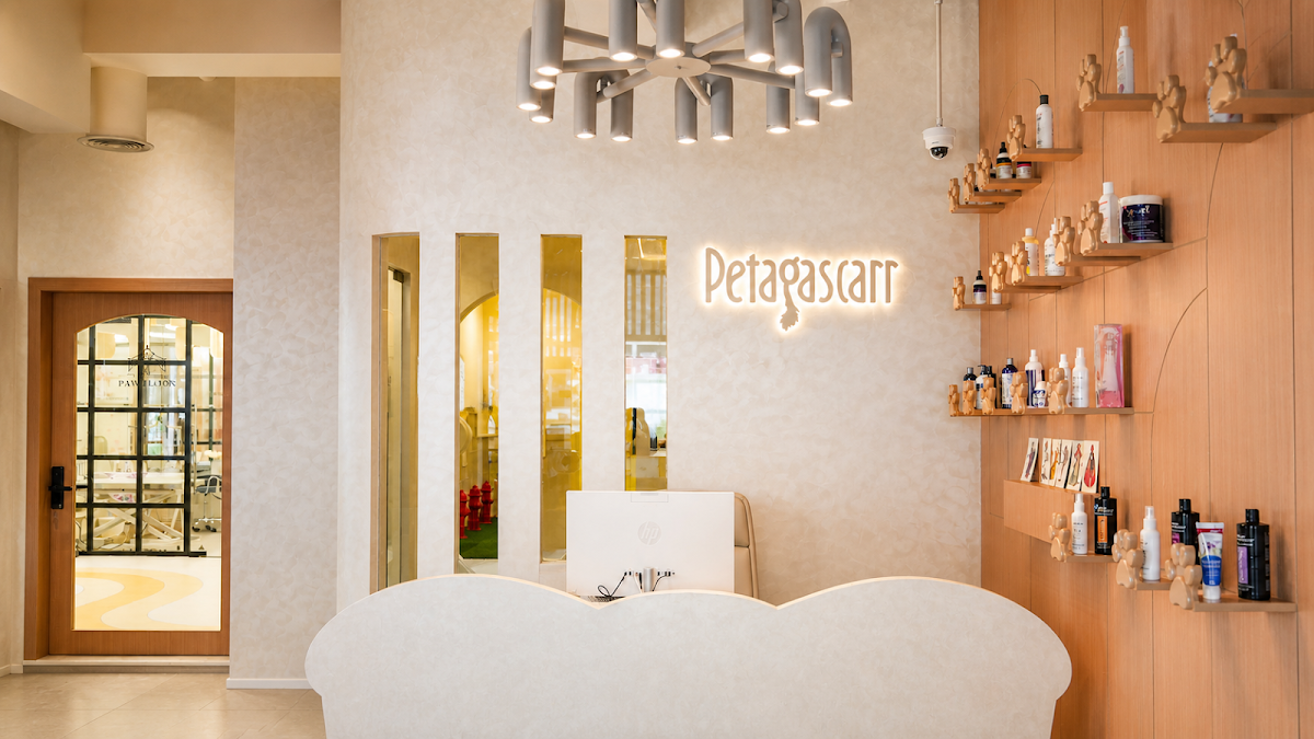 Petagascarr 2