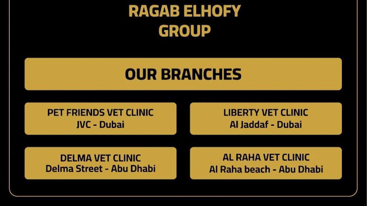 Pet friends vet clinic 2