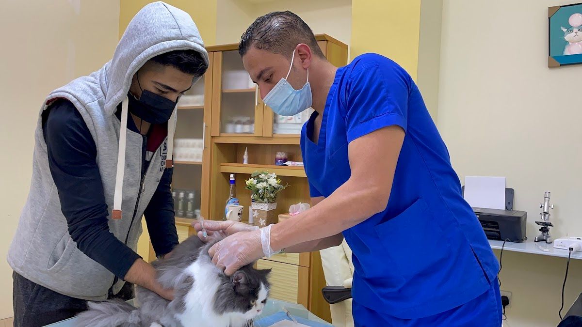 Pet friends vet clinic 4