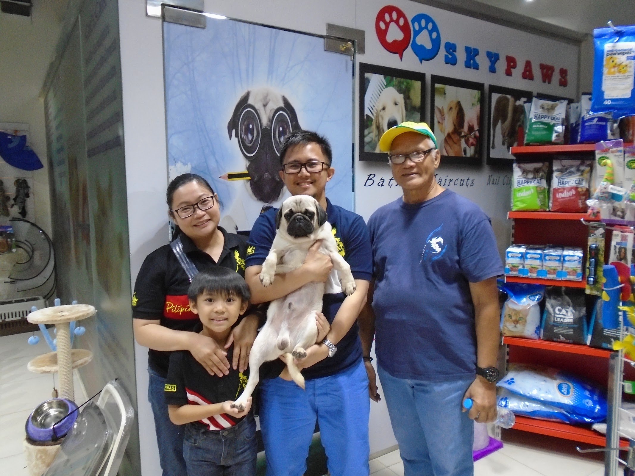 Puppies in Dubai