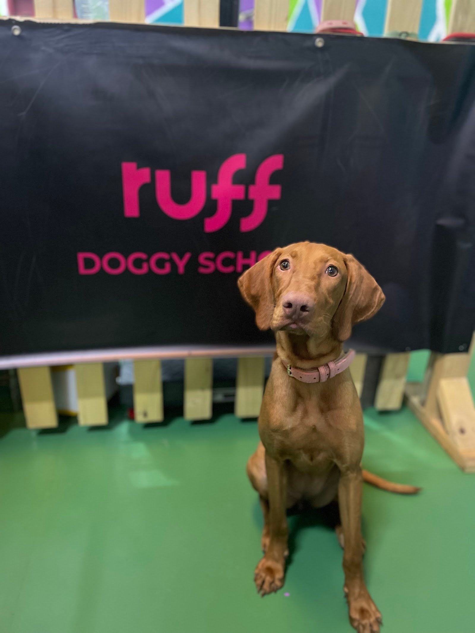 Ruff UAE photo 3