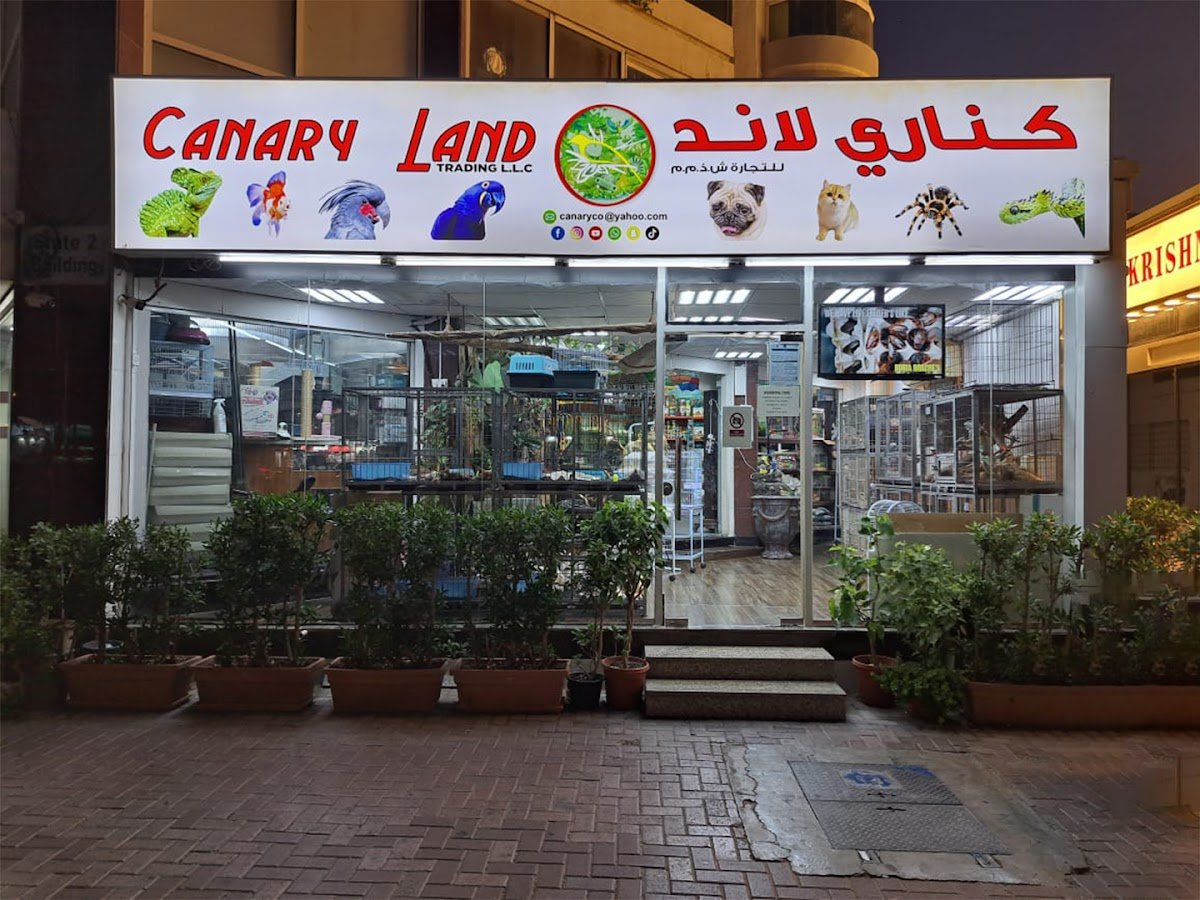 Canary land Pet Shop