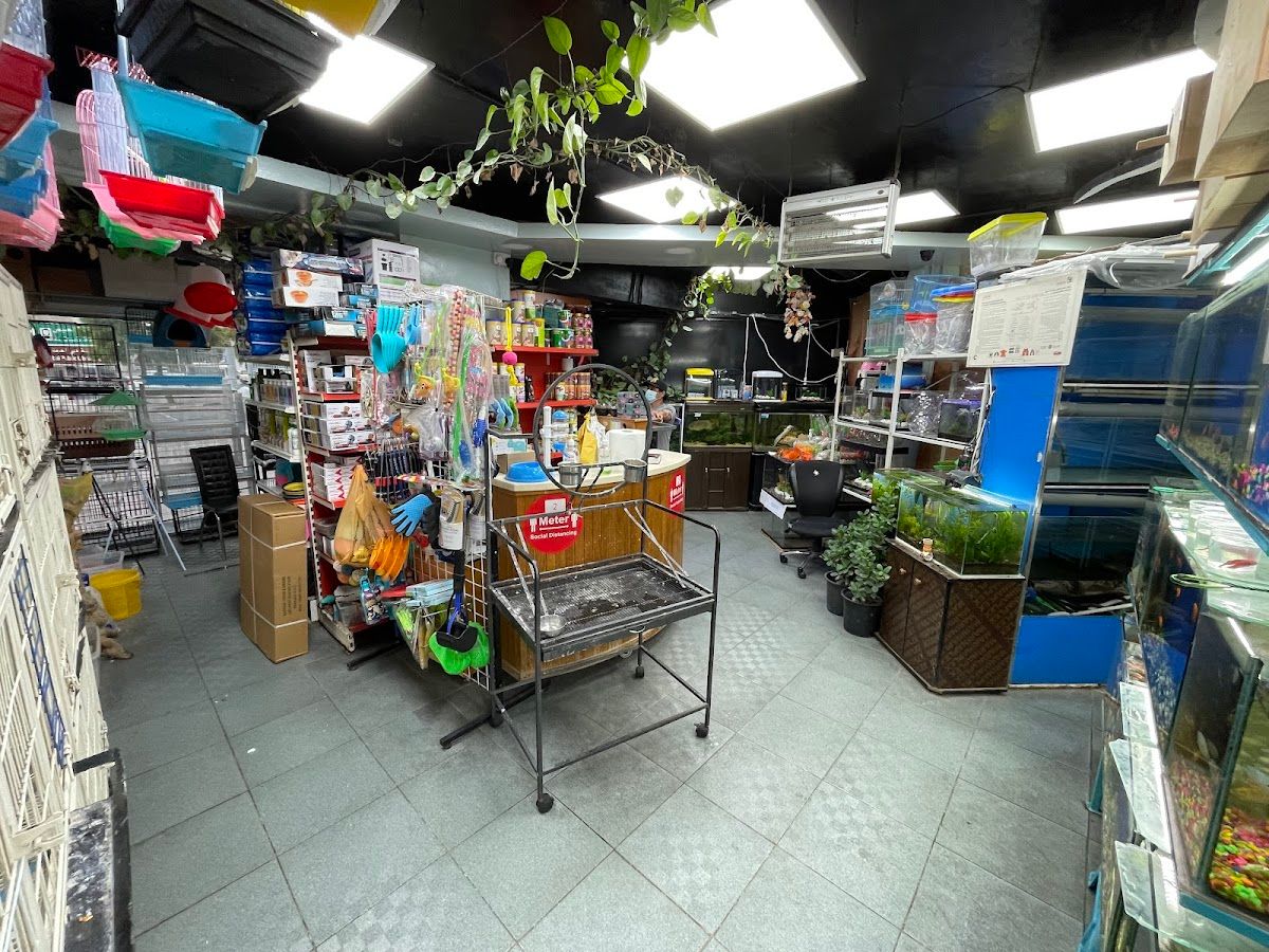 Canary land Pet Shop 2