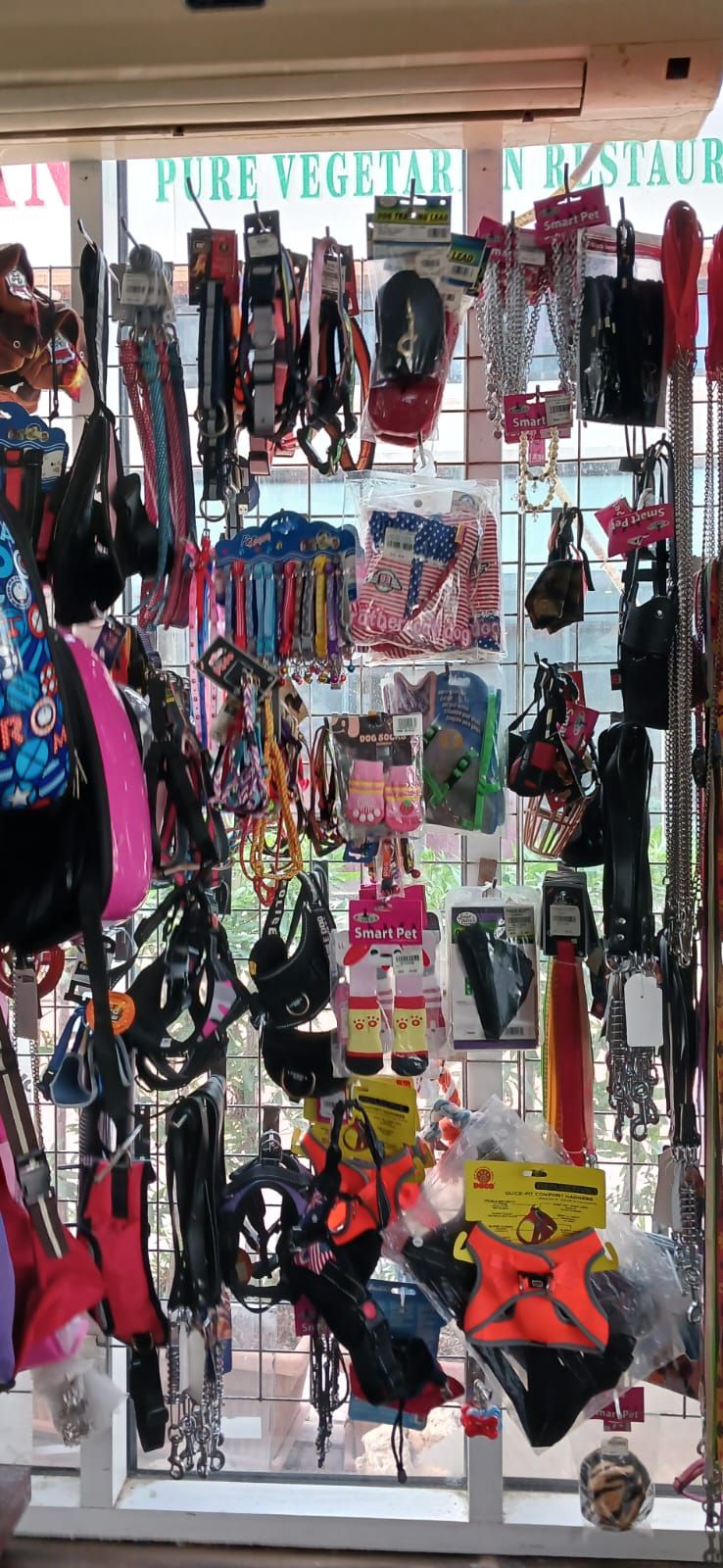 Canary land Pet Shop 4