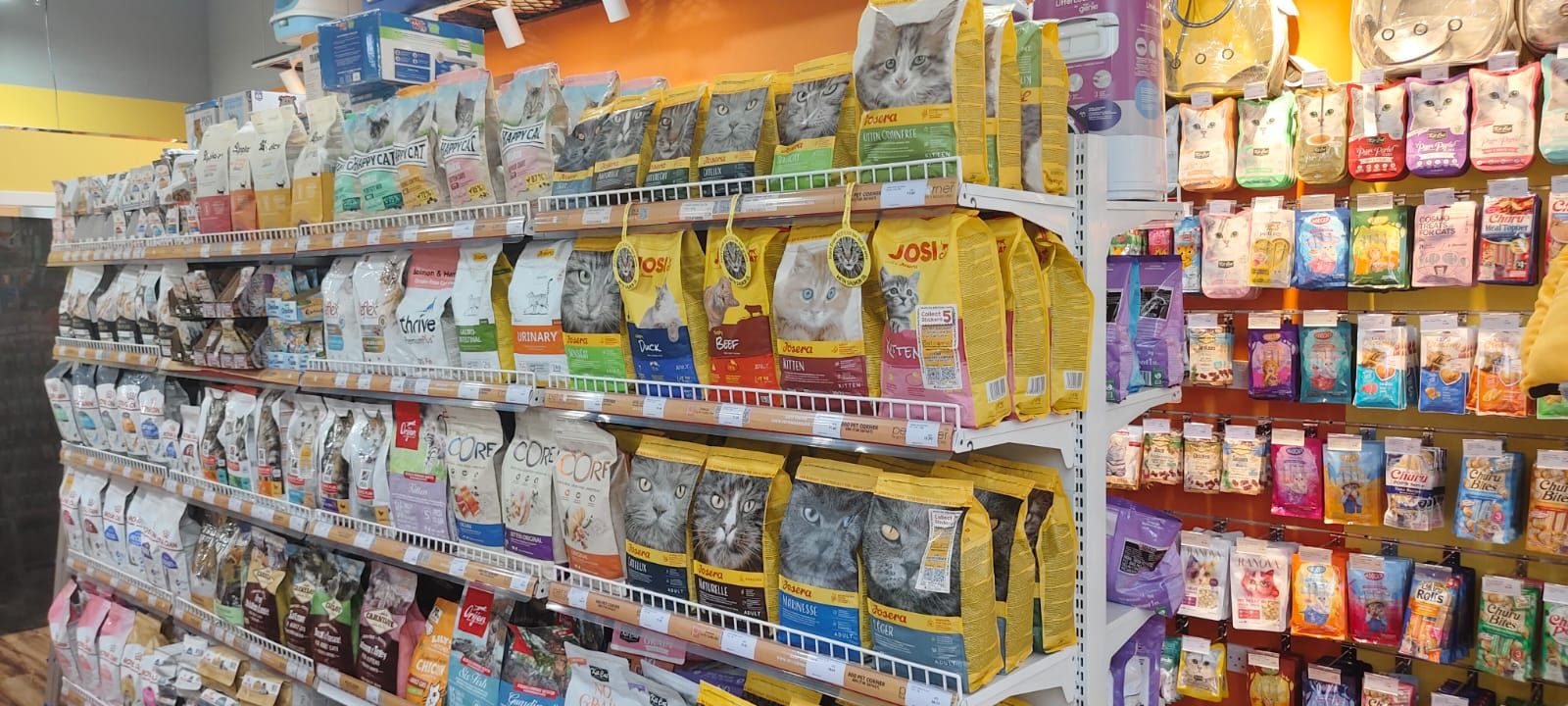 Pet Corner - Jumeirah Village Circle Branch Pet Shop 2