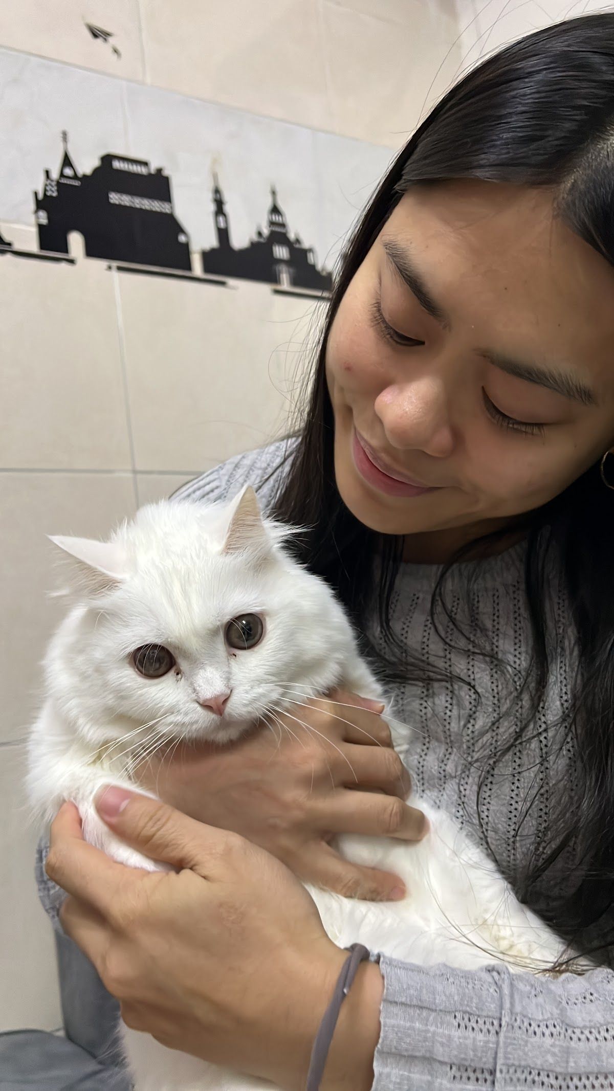 Royal Pets Veterinary Clinic 4