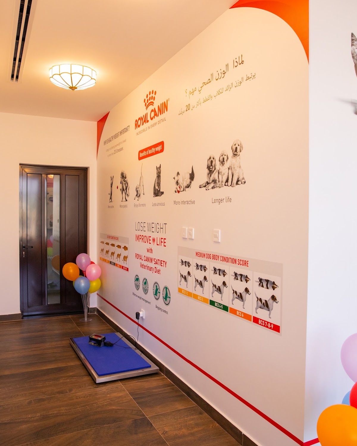 Pets Oasis Veterinary Clinic 2