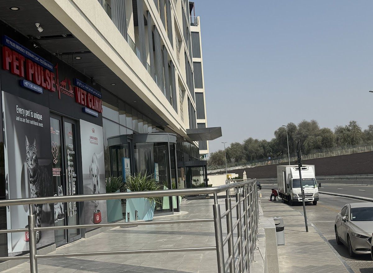 Pet Pulse Emergency Veterinary Clinic - Mirdif Dubai 5