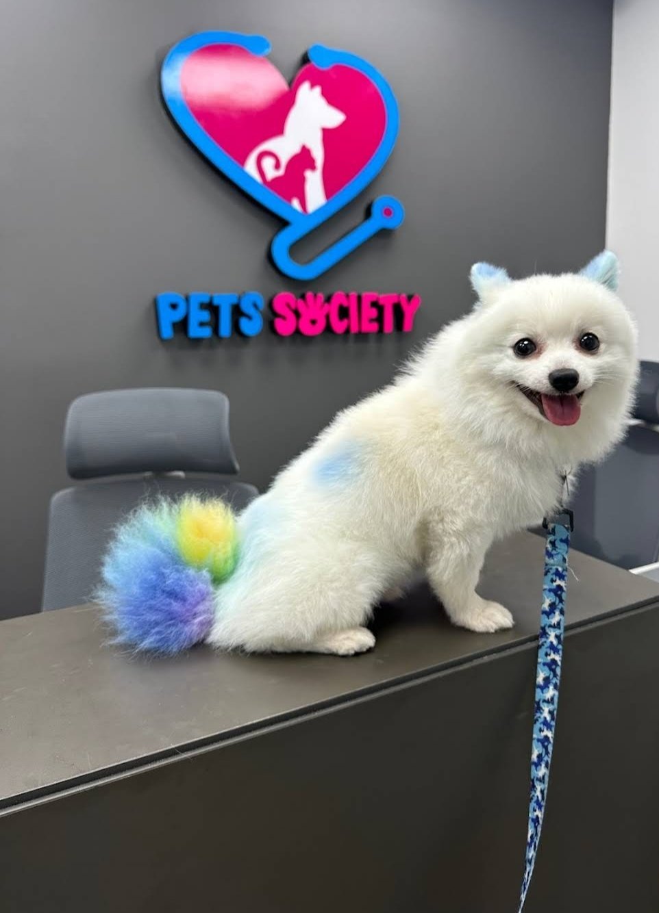 Pets Society Veterinary Clinic
